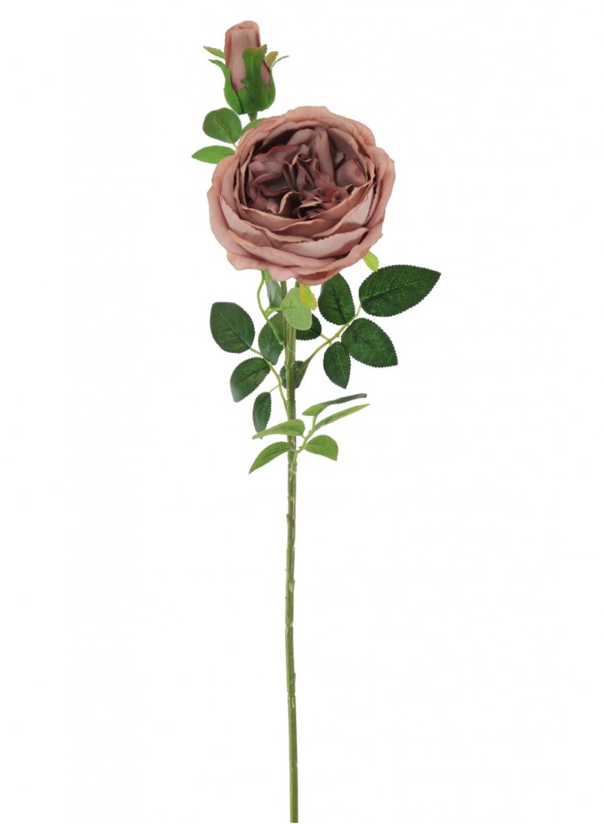 Vintage Mauve Rose Flower