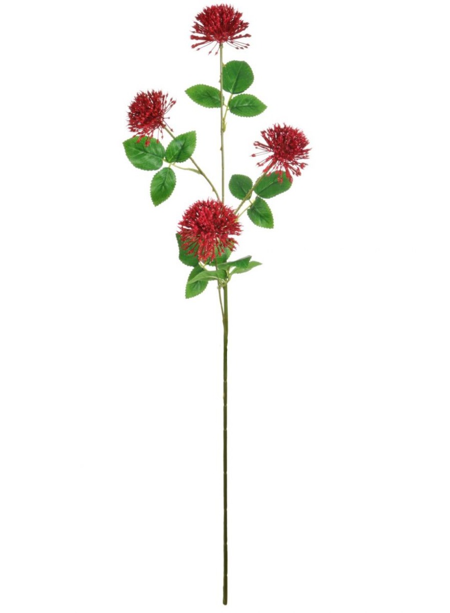 Red Fireball Stem Flower
