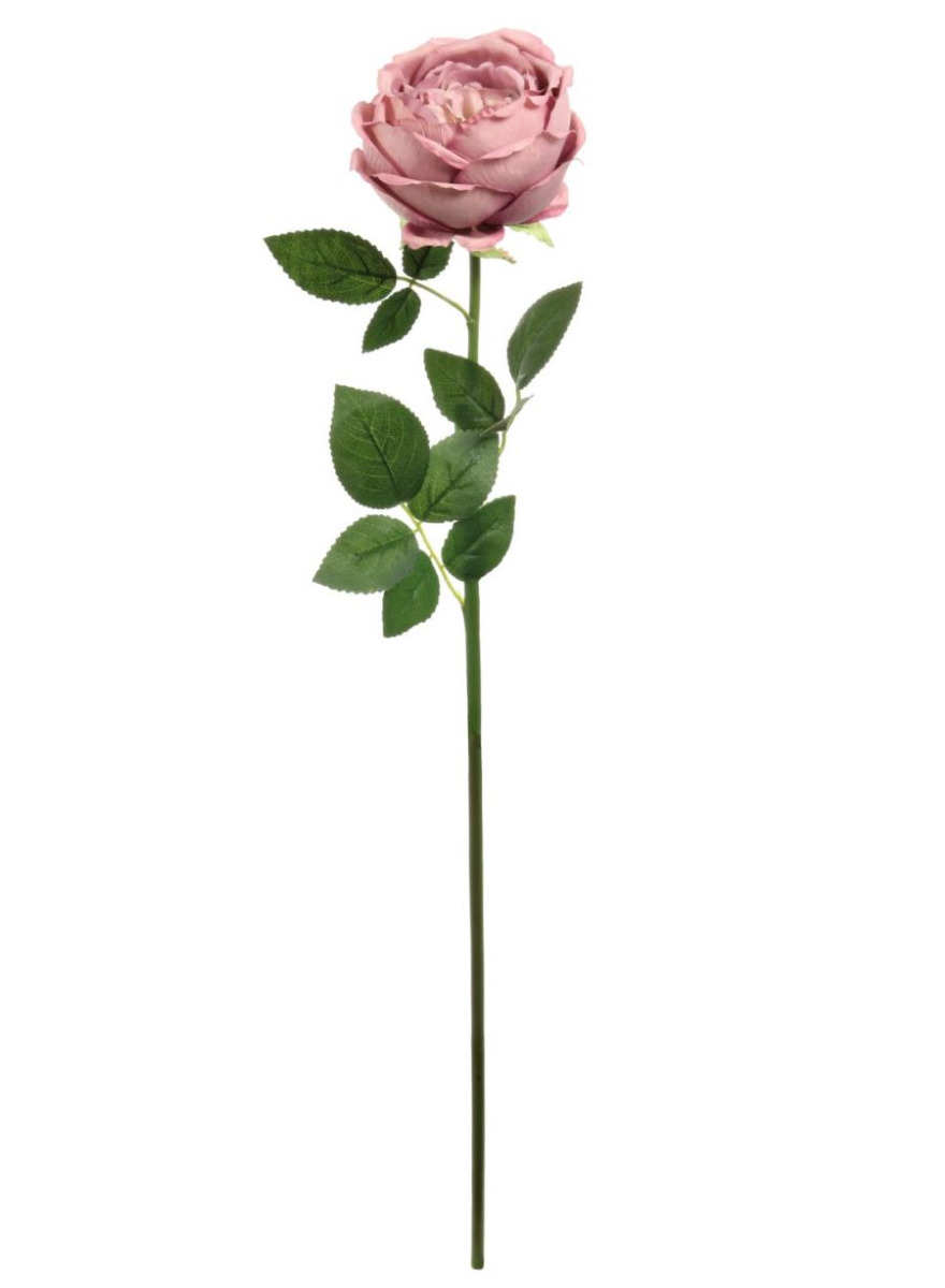 Single Vintage Rose