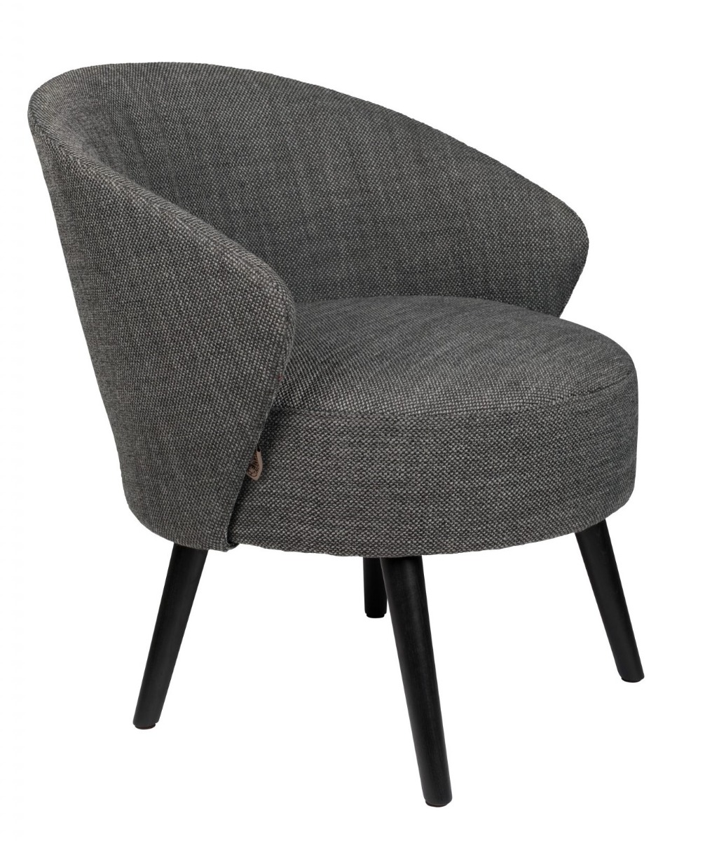 Waldo Lounge Chair in Anthracite