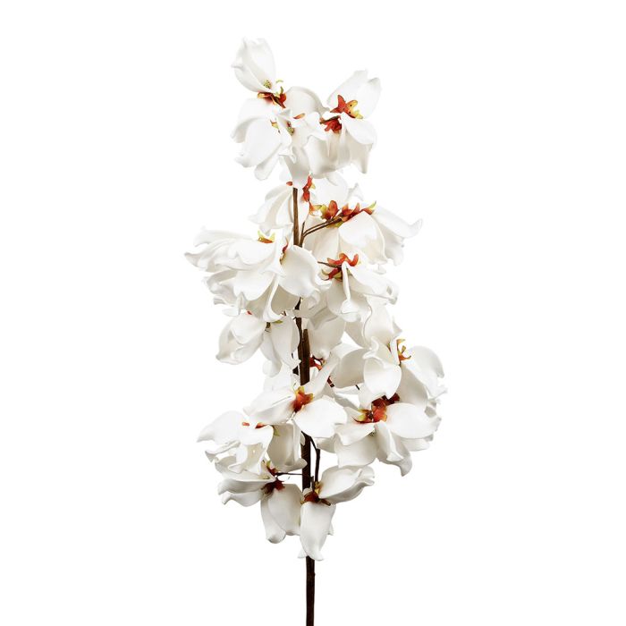 Flower Okinawa  H100cm