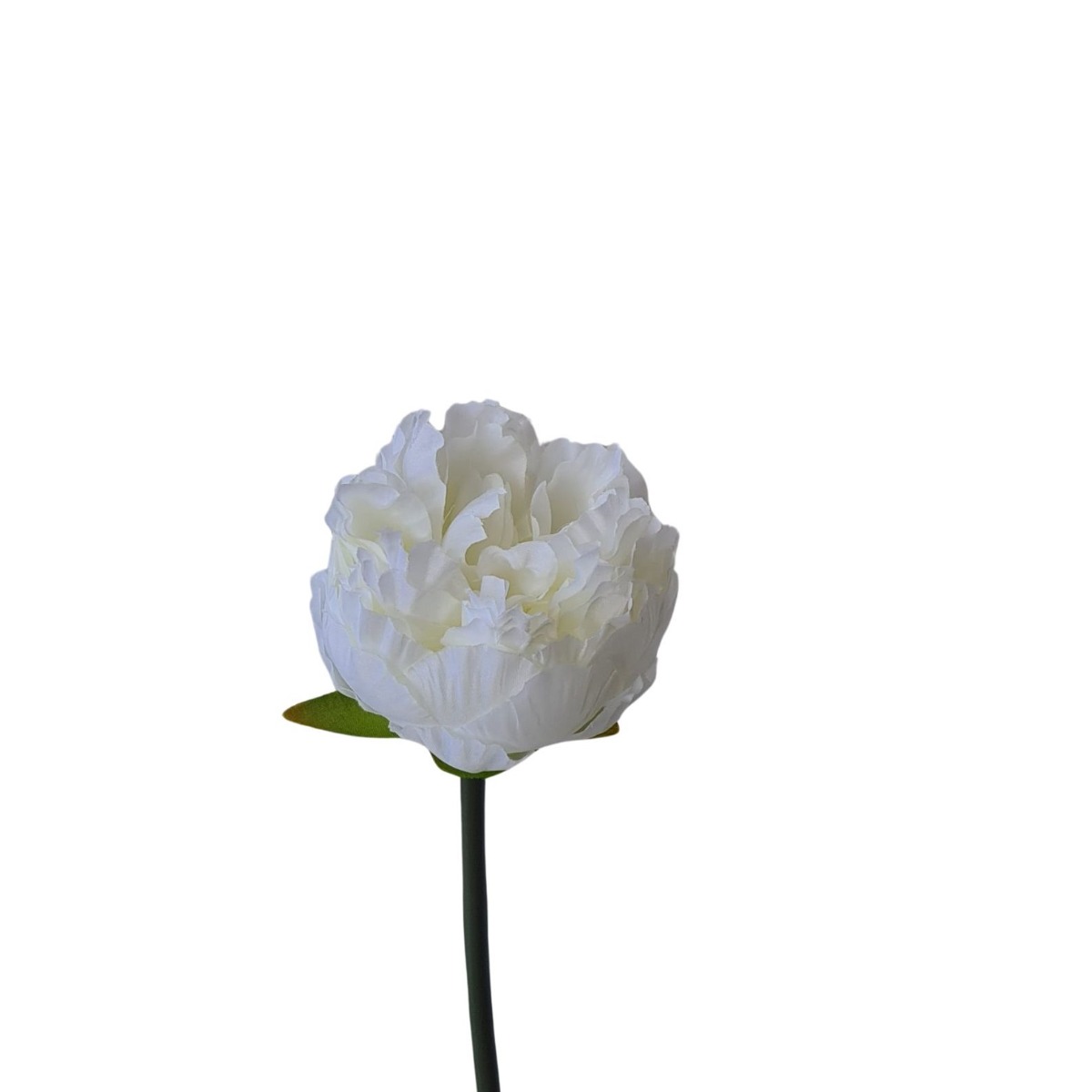 Short Stem Cream Peony Flower