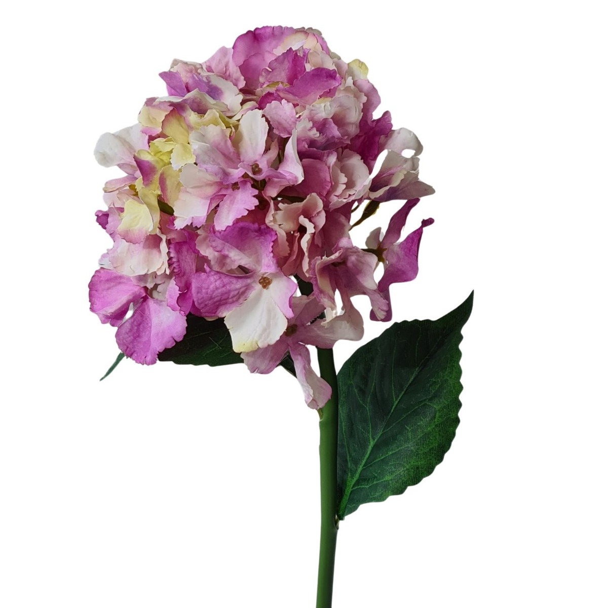 French Hydrangea Pink/Lilac