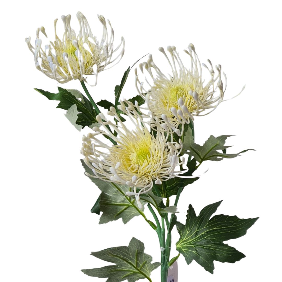 Cream Protea Spray Flower