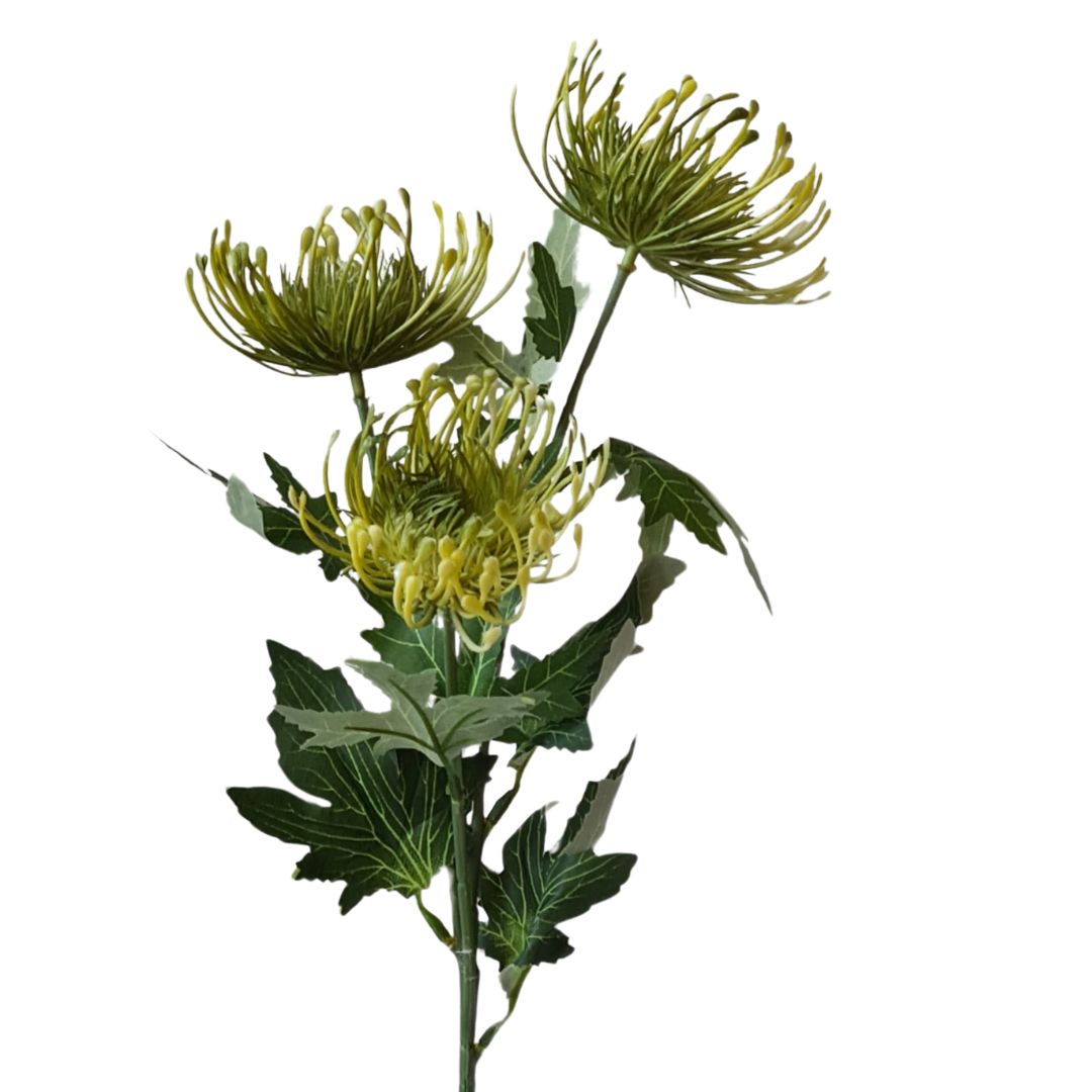 Green Protea Spray Flower