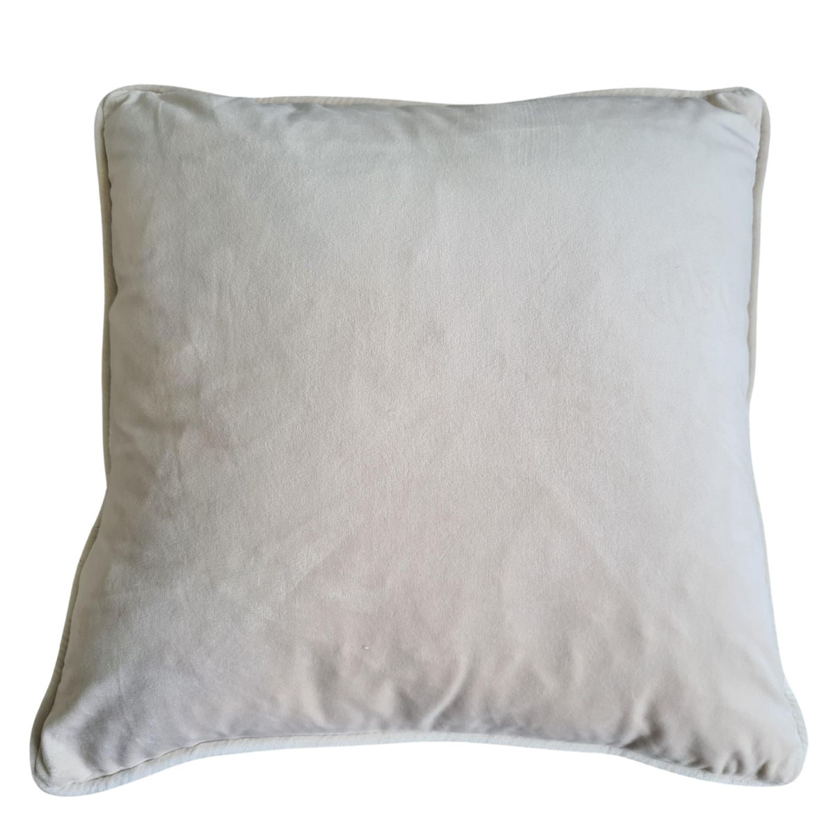 Cream Velvet Cushion
