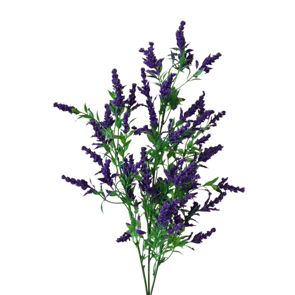 Wild Purple Lavender Spray